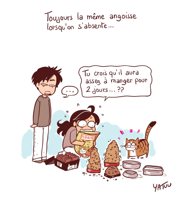 chat croquettes